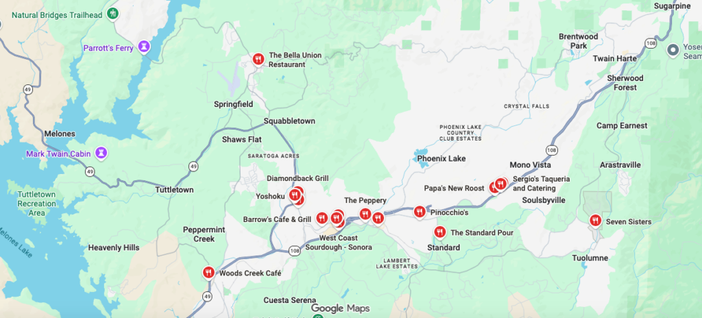 Google Maps for Google Review